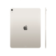 Apple iPad Air 13 (2025) Wi-Fi 256Gb Starlight (MCNQ4)