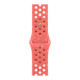 Watch Series 10 42mm (MWWW3)