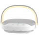 Колонка WiWU 3 in 1 Wireless Charging Desk Lamp Speaker Y1 с беспроводной зарядкой и лампой, White',
                "price": 2790.00,
                "brand": 'Wiwu',
                "category": 'Беспроводная акустика',
    